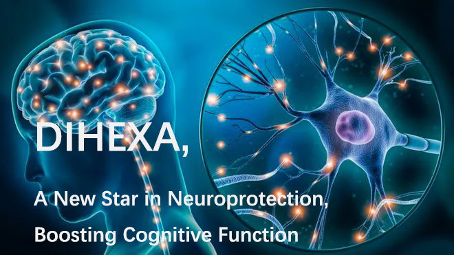 Dihexa powder manufacturer